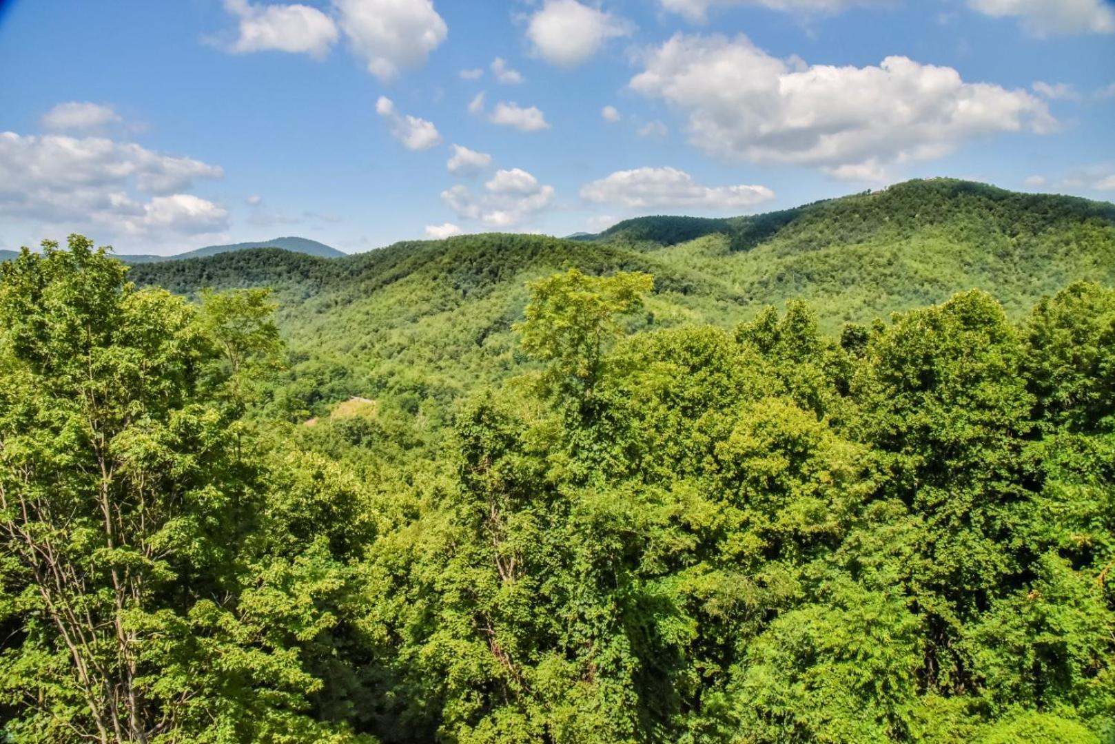 Skytop Chalet Pet Friendly, Hot Tub And Views Villa Black Mountain Exterior foto