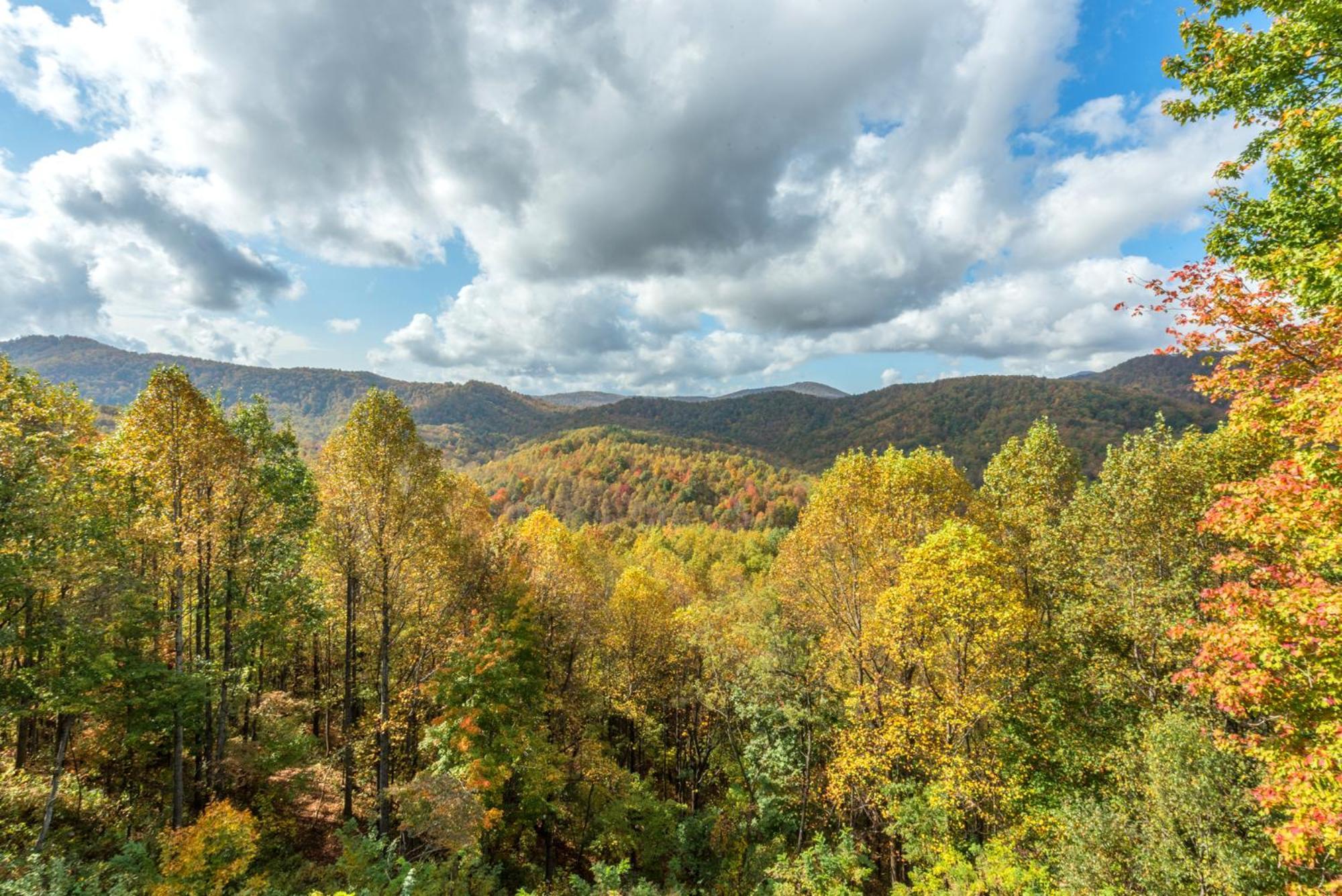 Skytop Chalet Pet Friendly, Hot Tub And Views Villa Black Mountain Exterior foto